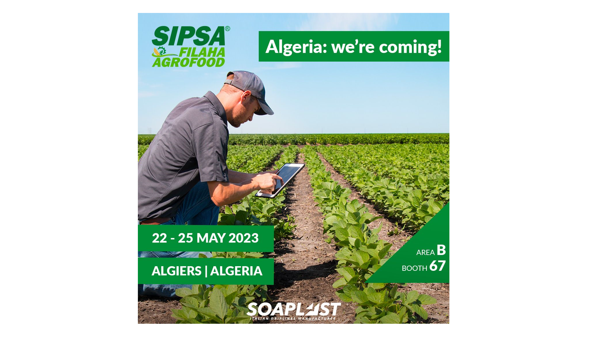 soaplast sipsa|soaplast feria africa